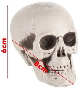 Uplift Picks Realistic Hanging Halloween Skeleton And Skull Decoration 5x6x8cm