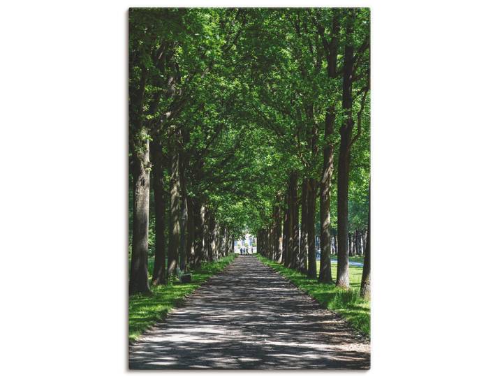 Leinwandbild ARTLAND Allee in der Karlsaue in Kassel , grün (farbe bild(er): grün), B:40cm H:60cm, Bilder, Leinwandbild, auf Holzrahmen gespannt