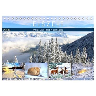 Eiszeit. Winter und Frost in der Natur (Tischkalender 2026 DIN A5 quer), CALVENDO Monatskalender