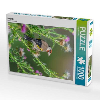 CALVENDO Puzzle Stieglitz 1000 Teile Lege-Größe 480 x 640 cm Foto-Puzzle Bild von Antje Rosenthal