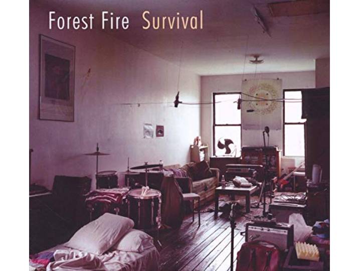 Forest Fire - Survival