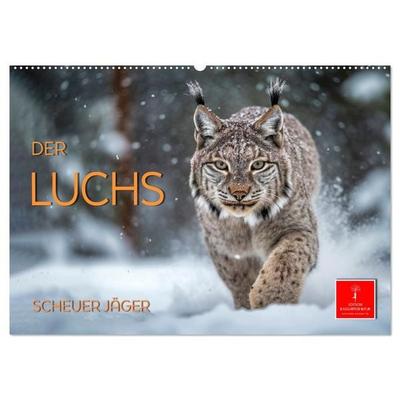 Der Luchs - scheuer Jäger (Wandkalender 2026 DIN A2 quer), CALVENDO Monatskalender