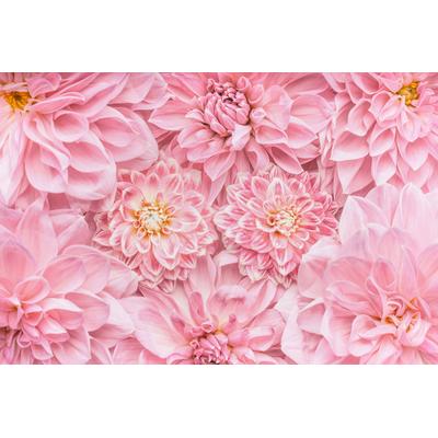 Fototapete PAPERMOON "Blumen", bunt, B:3m L:2,23m, Vlies, Tapeten
