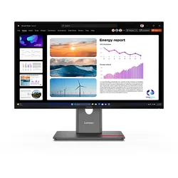 LENOVO - B2B ThinkVision P24Q-40 Monitor 23,8 Zoll QHD Business 6 ms Reaktionszeit 120 Hz