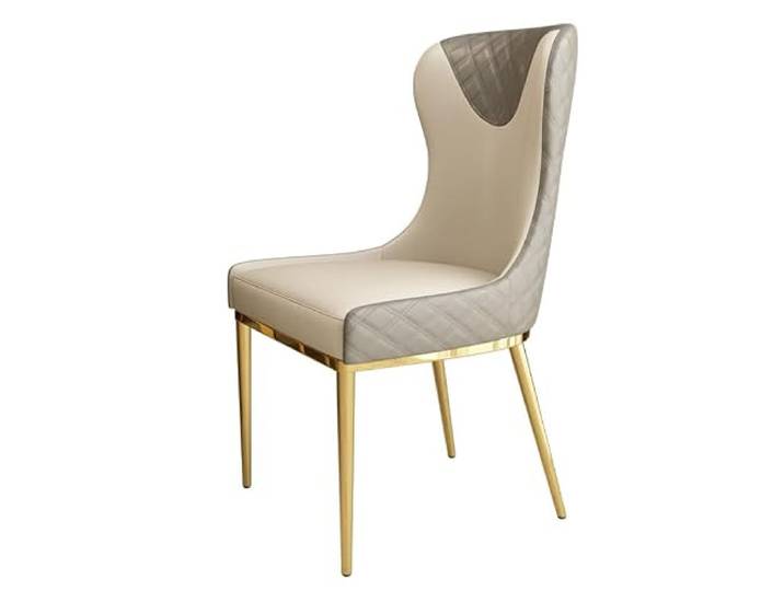 DIANXI Lounge-Sessel Moderner einfacher Esszimmerstuhl for den Haushalt, skandinavischer Metall-Restaurantstuhl, Rückenlehnenhocker, Hotel, Freizeit, kreativer Leichter Luxus