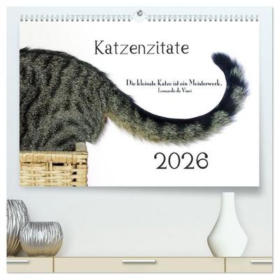 Katzenzitate 2026 (hochwertiger Premium Wandkalender 2026 DIN A2 quer), Kunstdruck in Hochglanz