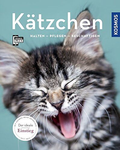 Hannelore Grimm - Kätzchen: halten, pflegen, beschäftigen (Mein Tier) - Preis vom 09.10.2026 07:28:09 h