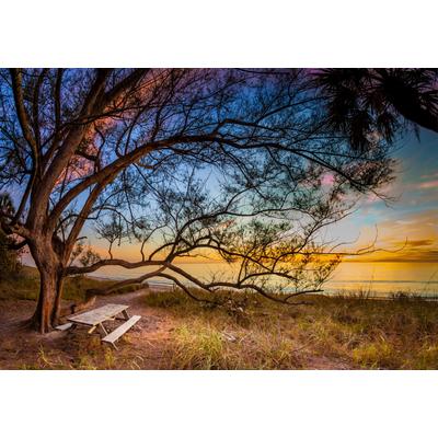 Fototapete PAPERMOON "BAUM AM STRAND-MEER OZEAN BLUMEN SONNE WIESE FLORIDA", bunt, B:4m L:2,6m, Vlies, Tapeten