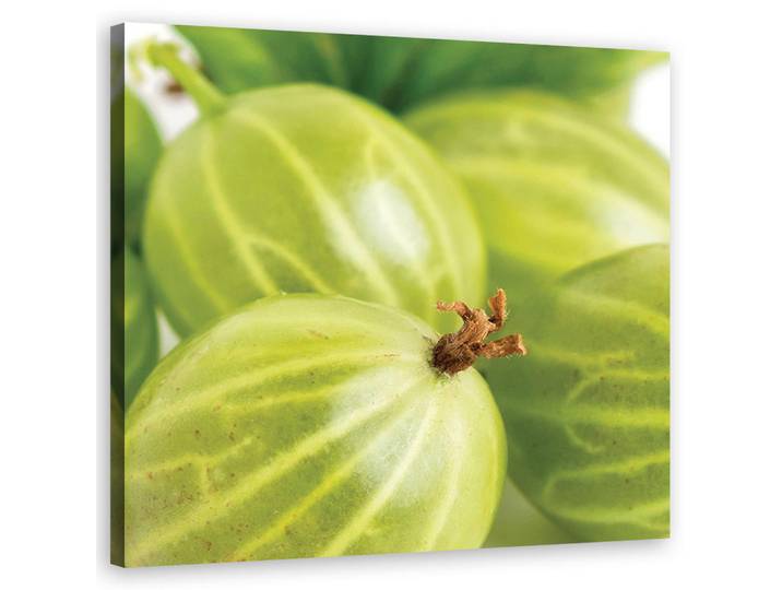 Feeby Wandbild stachelbeeren obst, Grün, Essen/Getränk, Rechteckig, 50x50 cm, Bilder & Rahmen, Bilder, Leinwandbilder