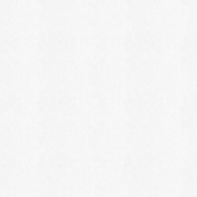 Isoliertapete WALL DOCTOR "Wall Doctor Renovliestapete Weiss 10mx1m (150g/m2)", weiß, B:1,04m L:10m, Vlies, Tapeten, Wall doctor Renovliestapete Weiss 10mx1m (150g/m2)