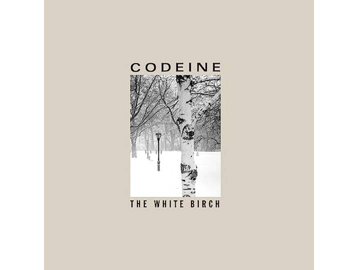 The White Birch