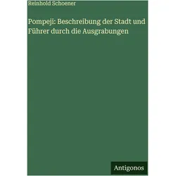 Pompeji: Beschreibung der Stadt und Führer durch die Ausgrabungen, Belletristik von Reinhold Schoener