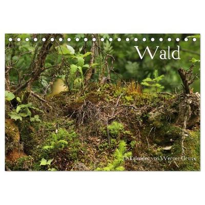 Wald (Tischkalender 2026 DIN A5 quer), CALVENDO Monatskalender