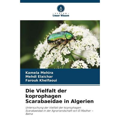 Die Vielfalt der koprophagen Scarabaeidae in Algerien, Taschenbuch von Kamela Mehira,Mehdi Elaichar,Farouk Khelfaoui, Verlag Unser Wissen