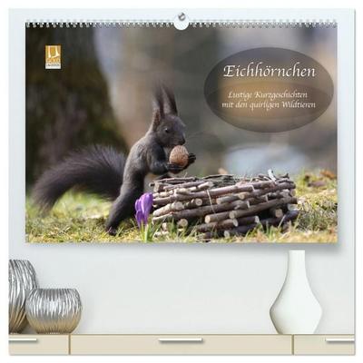 Eichhörnchen - Lustige Kurzgeschichten mit den quirligen Wildtieren (hochwertiger Premium Wandkalender 2027 DIN A2 quer), Kunstdruck in Hochglanz