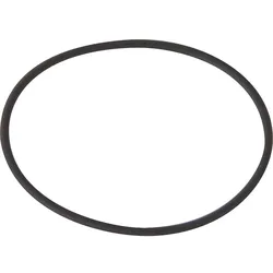 O-Ring für Förderpumpe UNISTAR 2000-B (31 079 64)