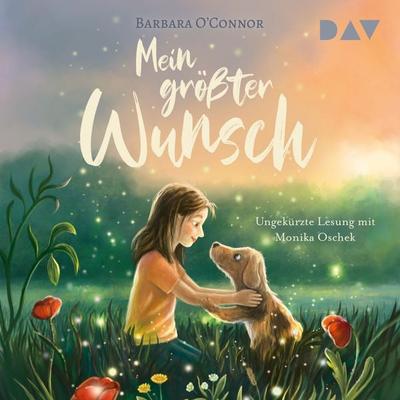Mein größter Wunsch - Barbara O'Connor; Audio, 9783742436061