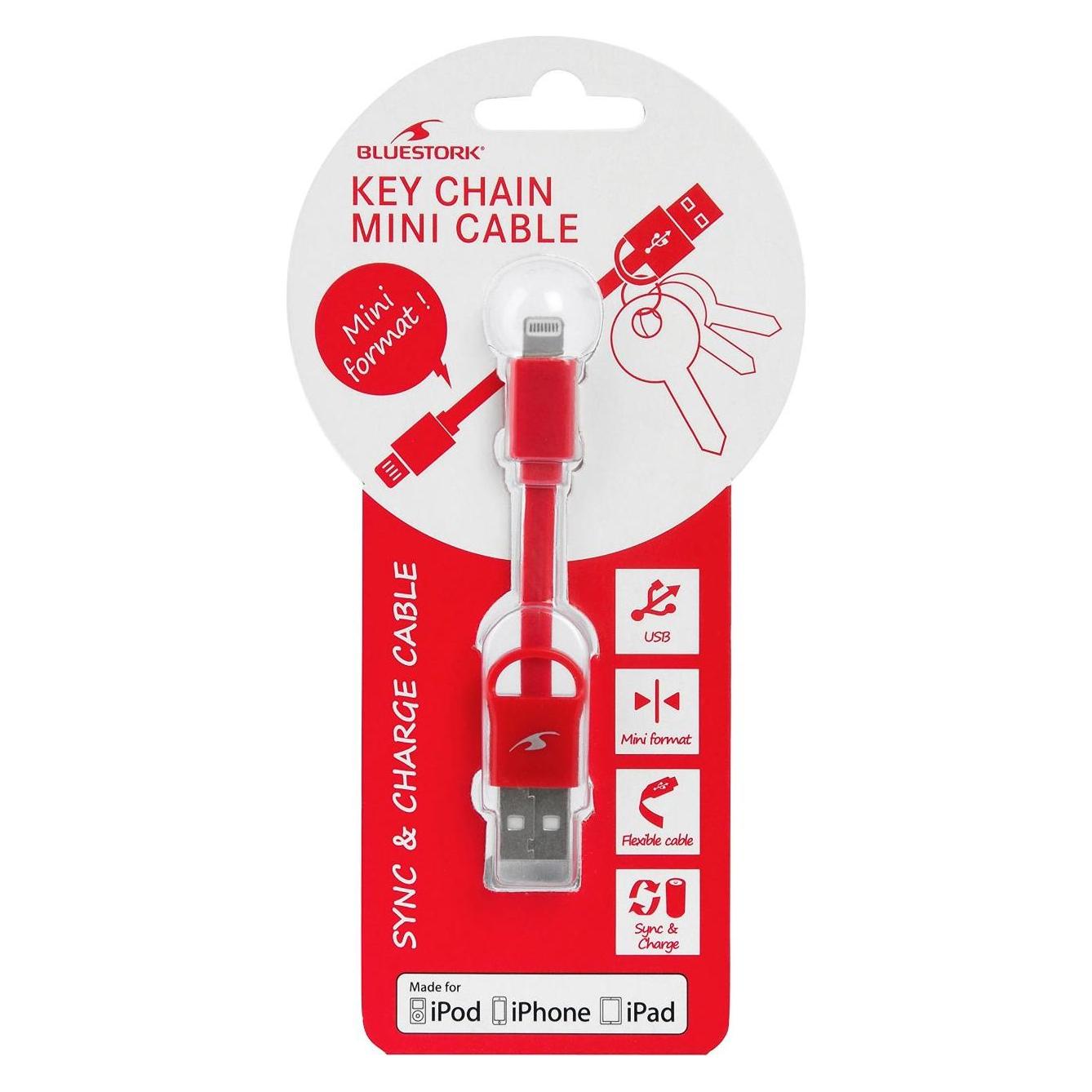 Bluestork BS-USB-IKEY/R (USB 2.0) (BS-USB-IKEY/R)