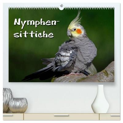 Nymphensittiche (hochwertiger Premium Wandkalender 2026 DIN A2 quer), Kunstdruck in Hochglanz