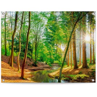 Poster REINDERS "Sonniger Wald", grün (farbe bild(er): grün), B:80cm H:60cm T:0,1cm, Leinwand, Bilder, Poster