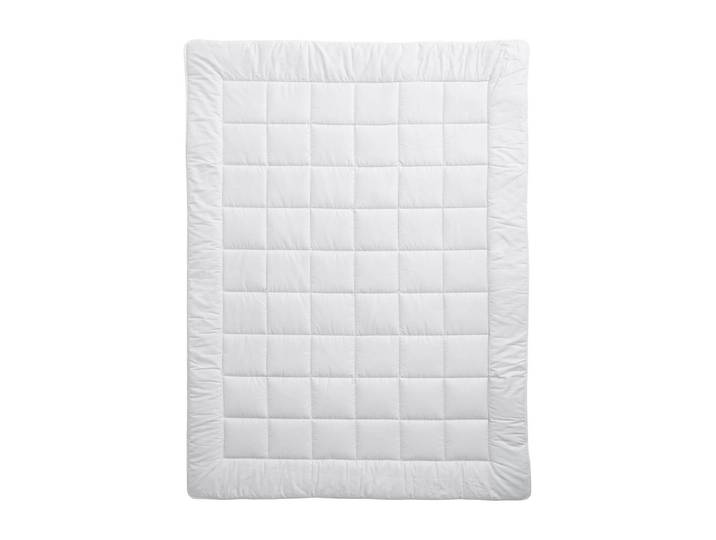 Billerbeck Meisterklasse Uno 160x210 Schurwolle Duvet