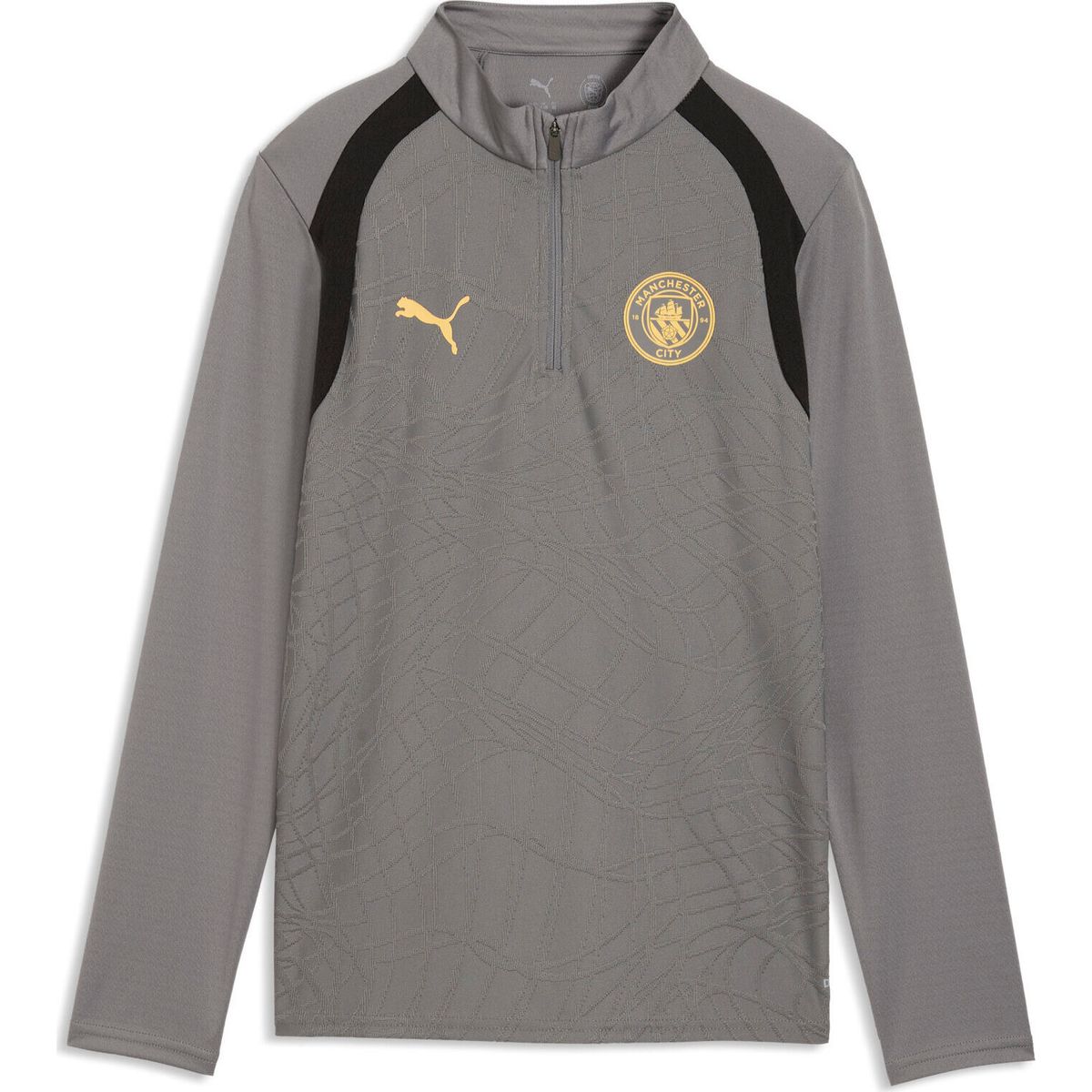 Puma Mcfc Training 14 Zip Top Jr cast iron-flaxen (22) 176 786222-22-176