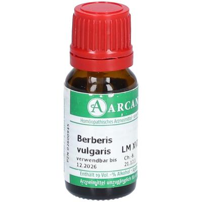 Berberis Vulgaris LM 18 Dilution 10 ml