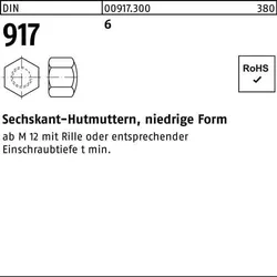 Sechskanthutmutter DIN 917 niedrige FormM16 6 250 Stück