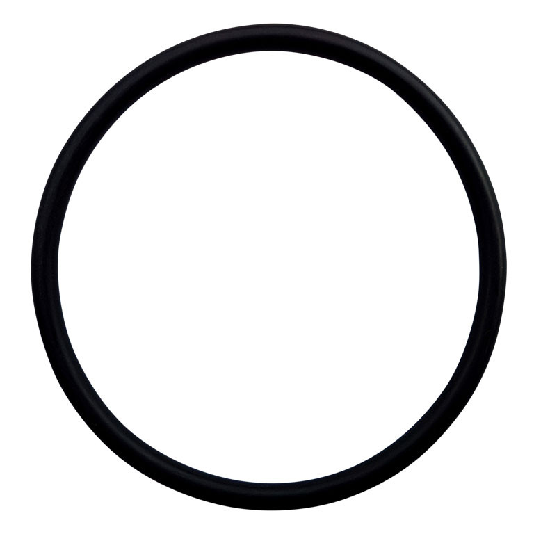 SCHÜTZ Flanschdichtung EPDM für Klappenhahn S75x6 (75mm) mit Kunststoff-Flansch 2022817