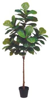 Creative Labs 6 ft Fiddle Leaf Fig Tree - Green