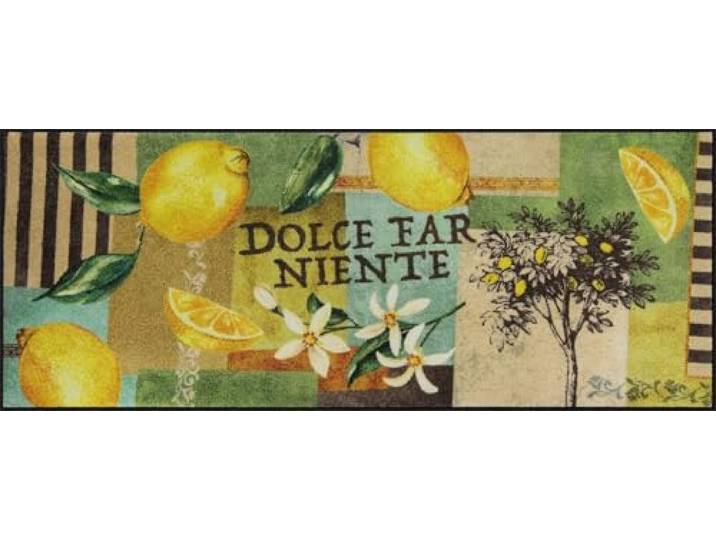 Salonloewe Fussmatte Dolce Far Niente I Schmutzfangmatte & Fußabtreter für Innen 75 x 190 cm