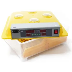 Wiltec Automatische Brutmaschine, Terrarium