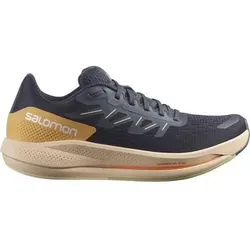 SALOMON Damen Laufschuhe SHOES SPECTUR W Ebony/Almond Cream/Leek, Größe 38 in Grau Grau