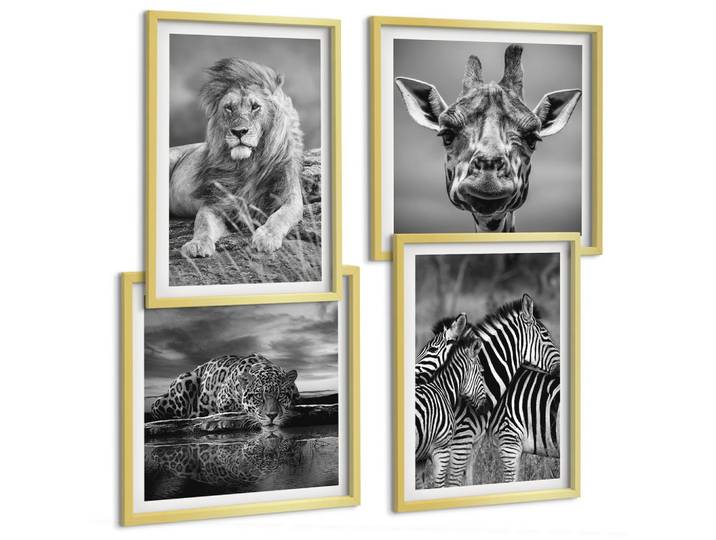 BILDER SET 4er Set - 50x50 cm & 40x60 cm Goldrahmen - Wildtiere Löwe Jaguar Giraffe Zebras