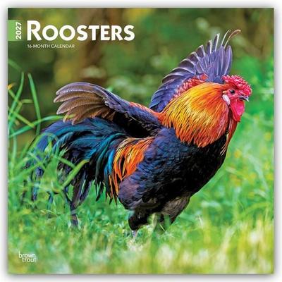 Roosters – Hähne 2027 – 16-Monatskalender