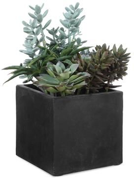 "Uttermost Greystone Indoor-Outdoor Succulent - 14."" D x 13."" W x 17.25"" H"