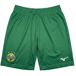 SK Rapid Wien Kinderfußballhose Home Short 26/27 - grün / 128