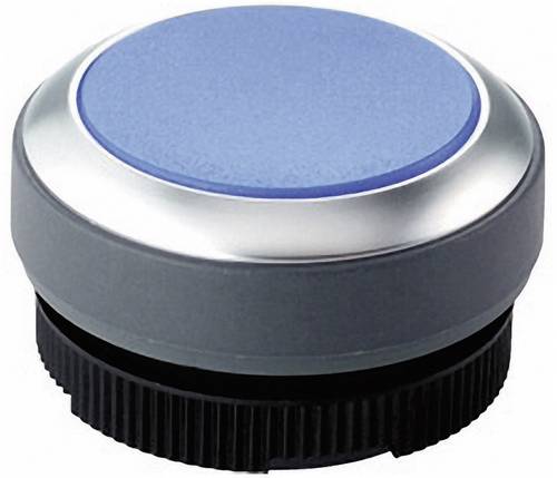 RAFI 1.30.270.021/2600 RAFIX 22 FS+ 1.30.270.021/2600 Drucktaster Betätiger flach Blau 1St.