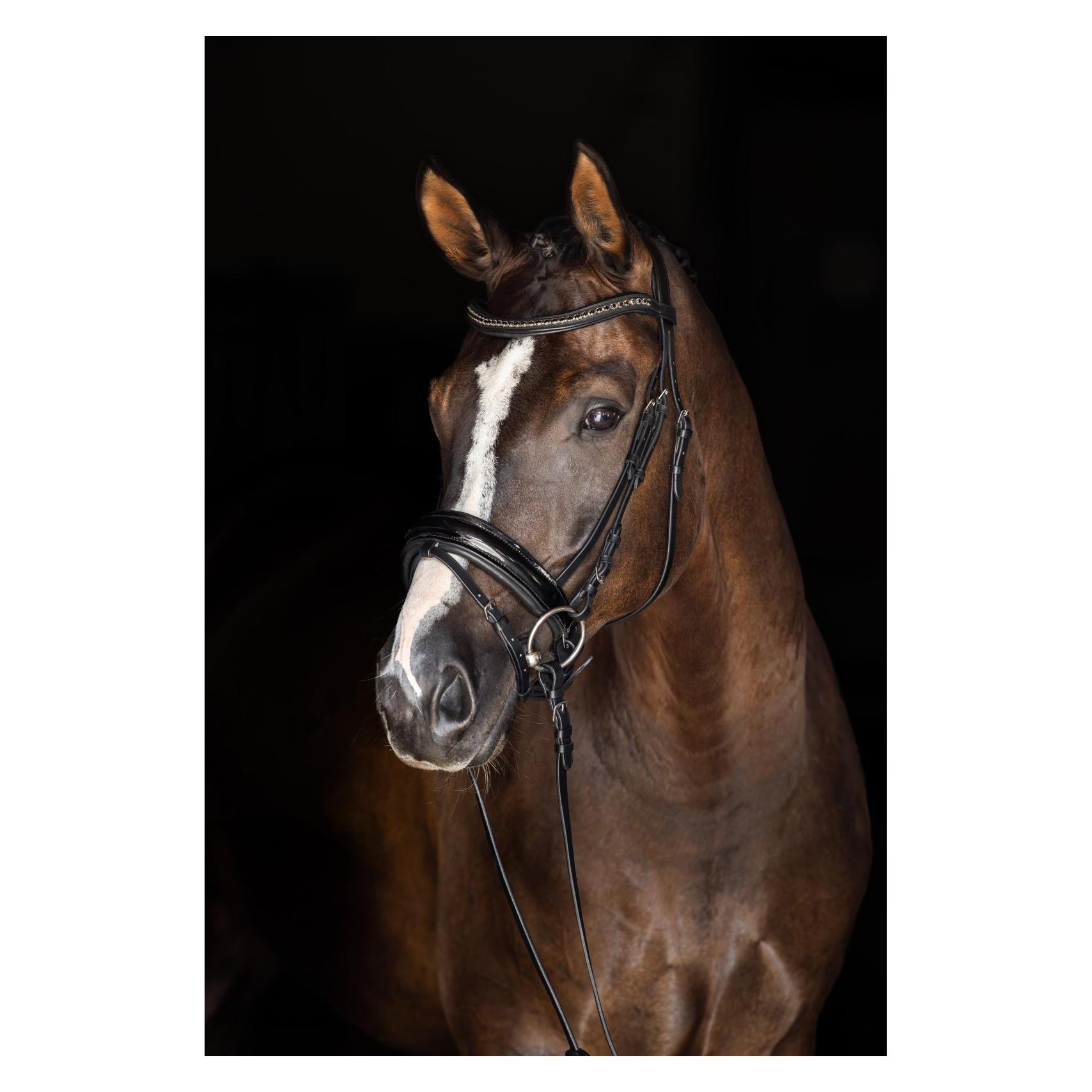 Kerbl Reithalfter in schwarz lack, Pony Ersatzteil für Trense Schwedisch (3230205)