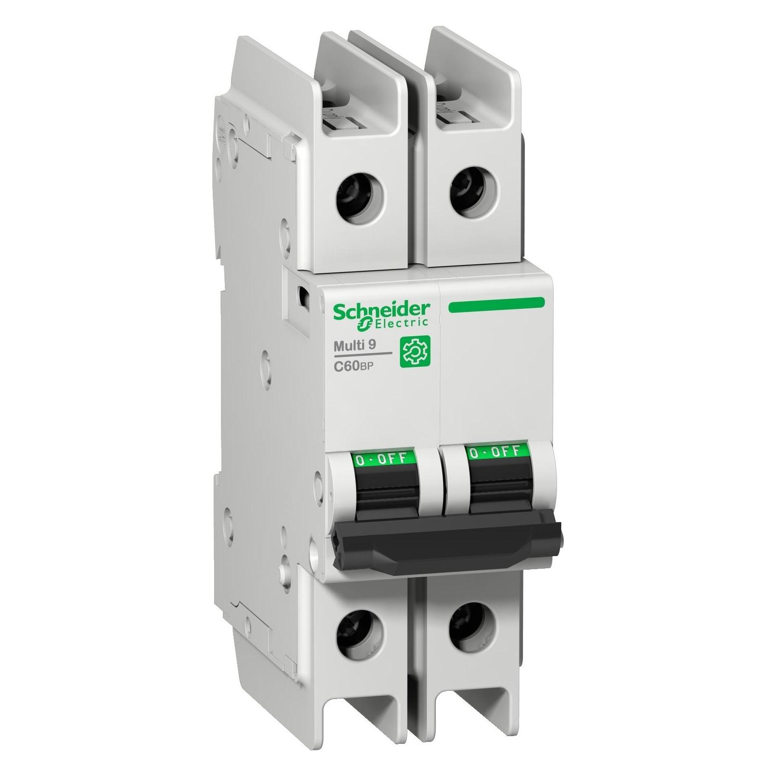 Schneider Electric M9F42206 M9 C60BP 2P 6A C UL489 LS-Schalter (M9F42206)