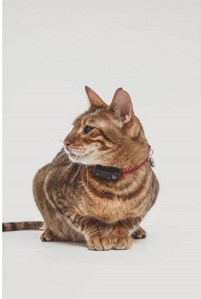 Tickless Mini Kat Flåtbeskyttelse, Sort