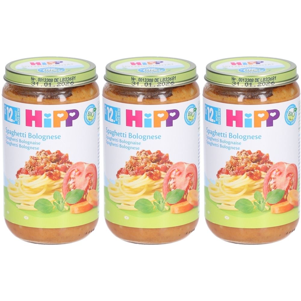 Hipp Kleiner Topf Spaghetti Bolognese bio nach 12 Monaten x3 3x250 g Brei
