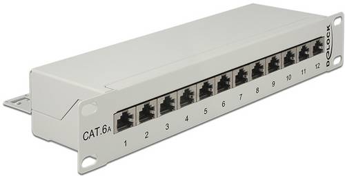 Delock 43308 Patch-Panel 1 HE Grau