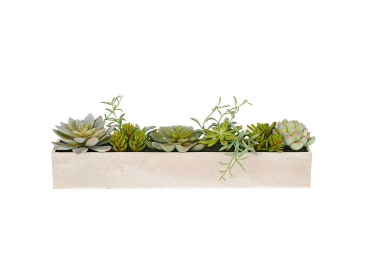 Kunstpflanze Sukkulenten Typ A 40 x 10 x 8cm