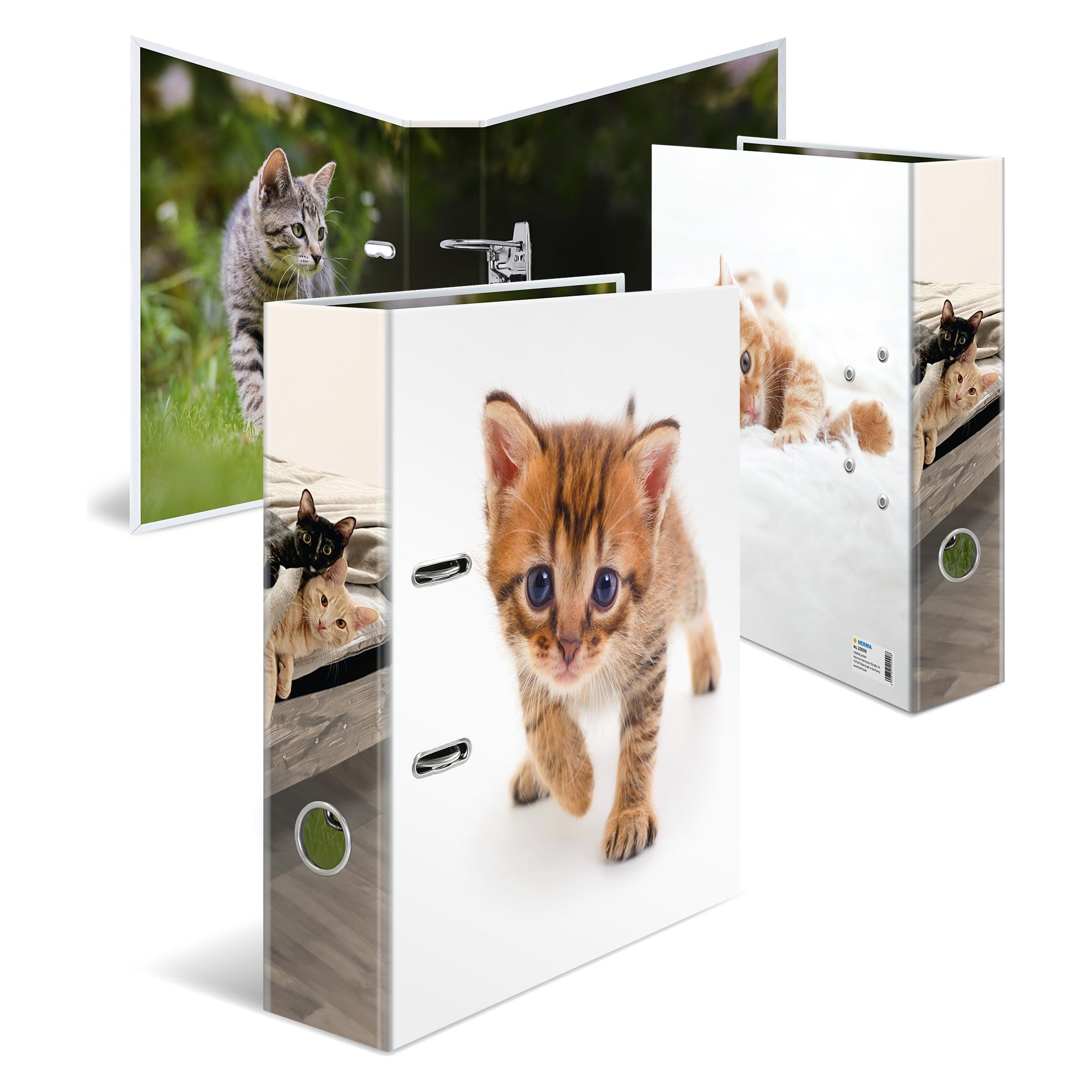 Herma Motiv-Ordner A4 Katze (A4, 70 mm, 1 Stk.) (20099)