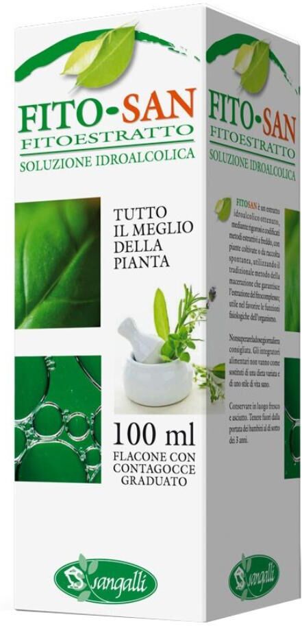 SANGALLI Srl GINKG BILOBA FGL 100ML TM