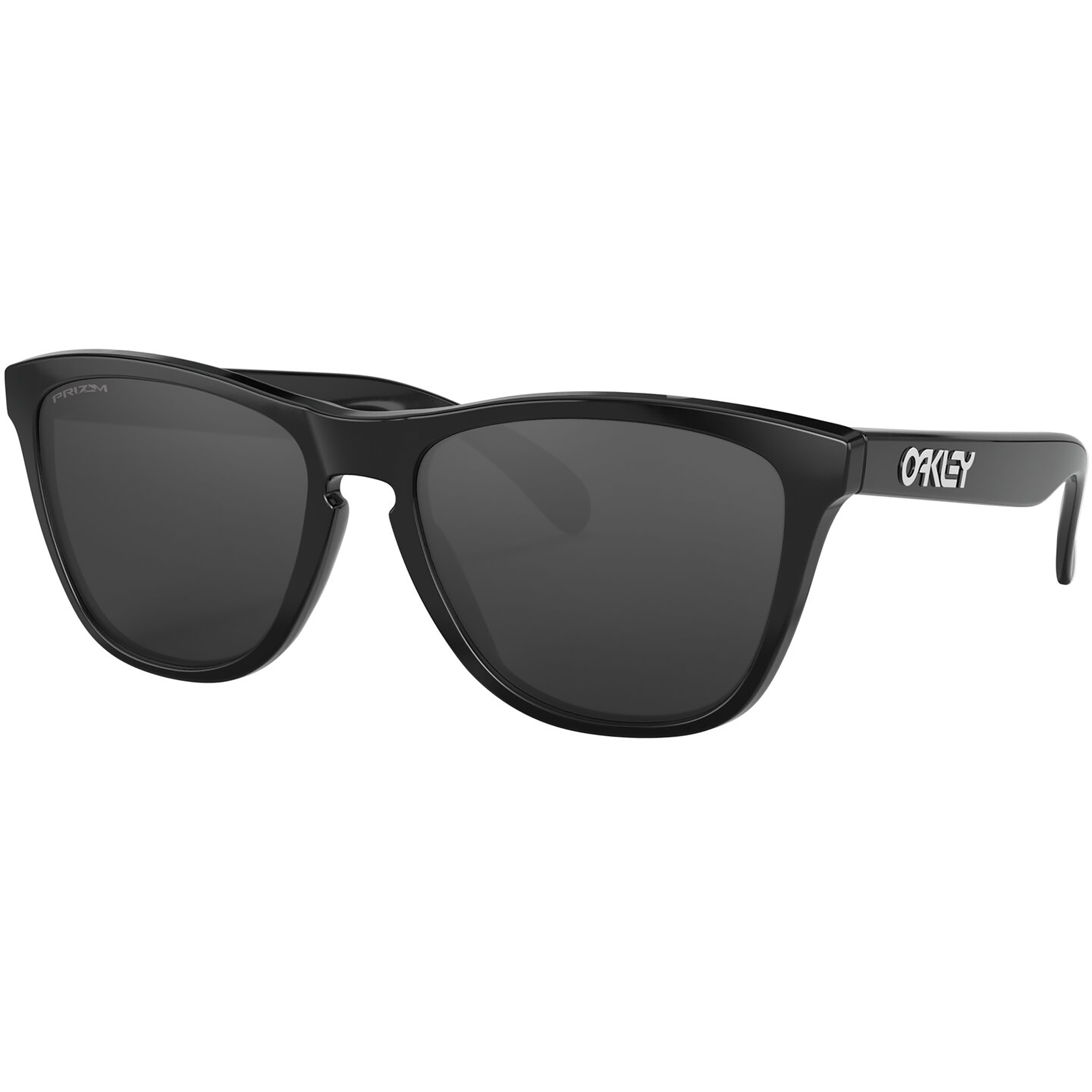 Oakley Frogskins Sonnenbrille Sonnenbrillen schwarz Lifestyle