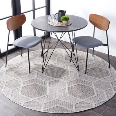 SAFAVIEH Global Sniazhana Indoor/ Outdoor Modern Rug