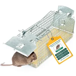 Silberkraft Lebendfalle aus Draht – tierfreundliche Mausefalle ohne Gift für Küche, Keller, Dachboden, Garage & Gartenhaus – 1 Stück