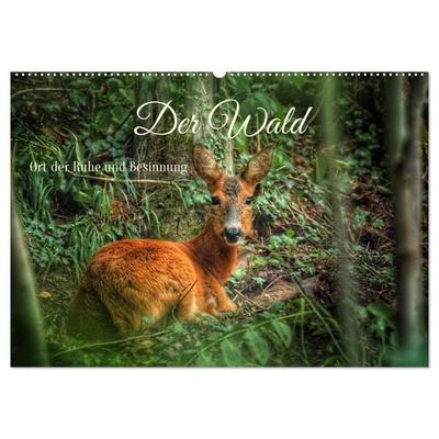 Der Wald - Ort der Ruhe und Besinnung (Wandkalender 2027 DIN A2 quer), CALVENDO Monatskalender